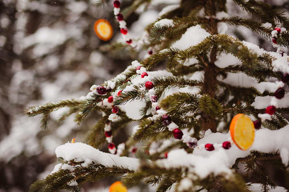 Go Play Outside: Christmas Edition