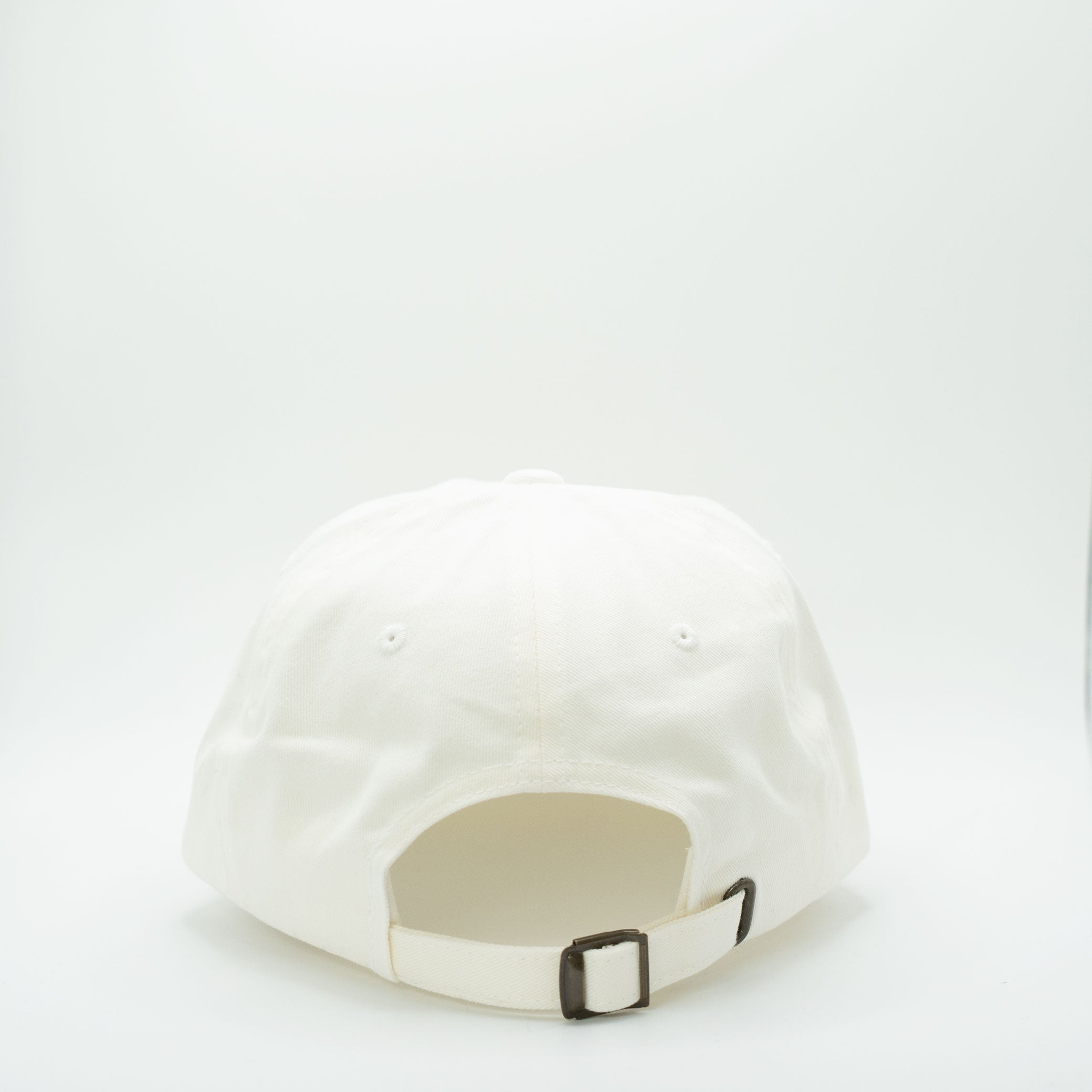Find Your Wings Rainbow Hat