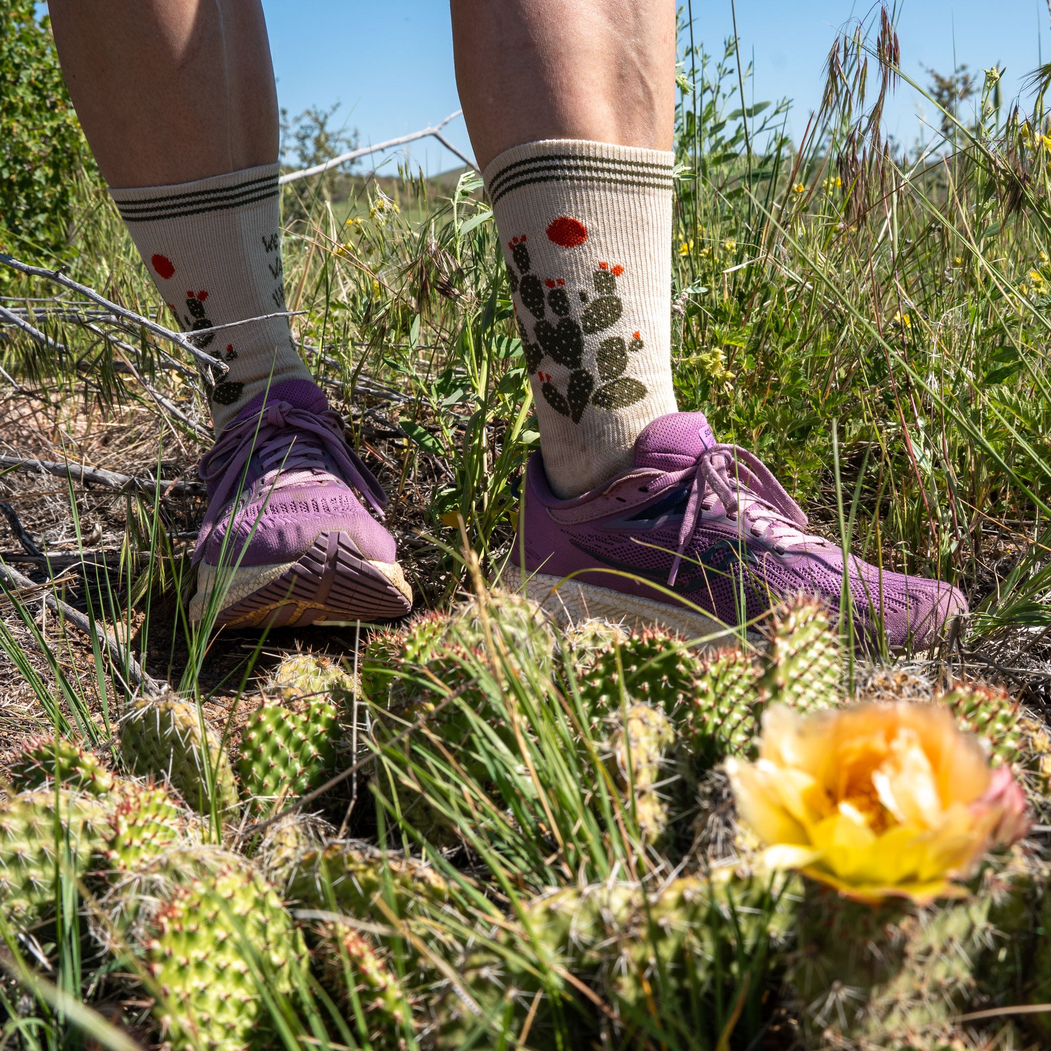 Under the Sun Performance Crew Socks
