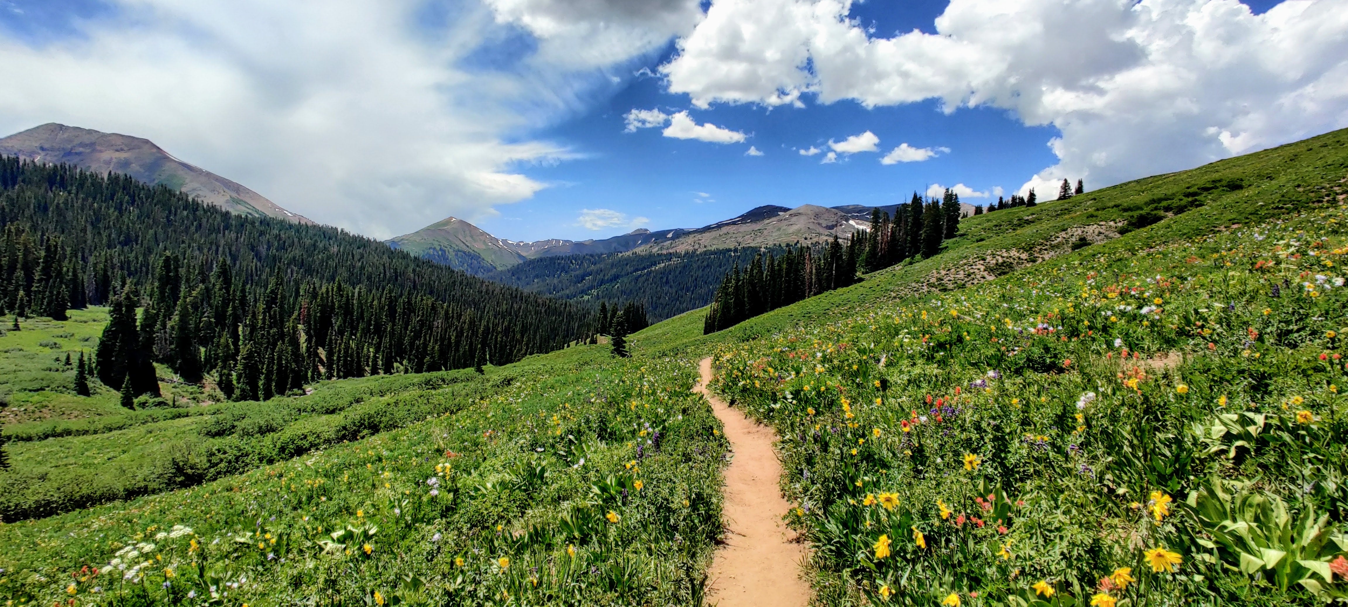 Best Mountain Biking Tips For Colorado