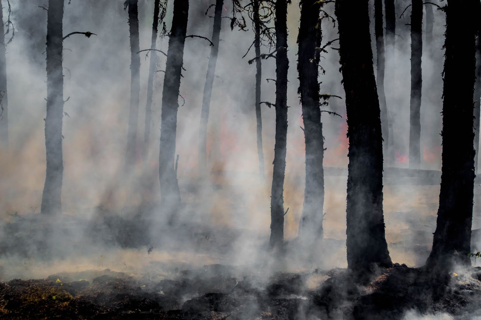 Colorado Wildfire