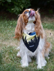 Morningside Dog Bandana