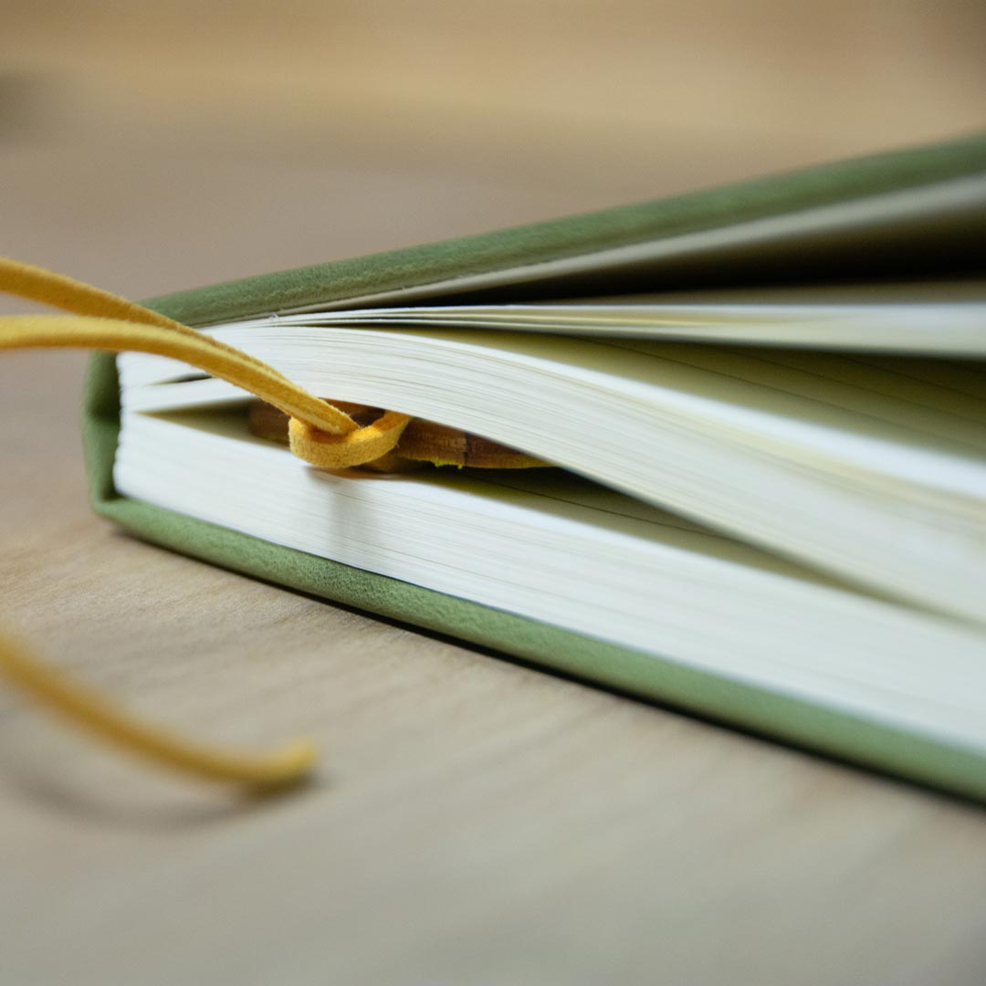closeup-of-evergreen-tree-journal.jpg