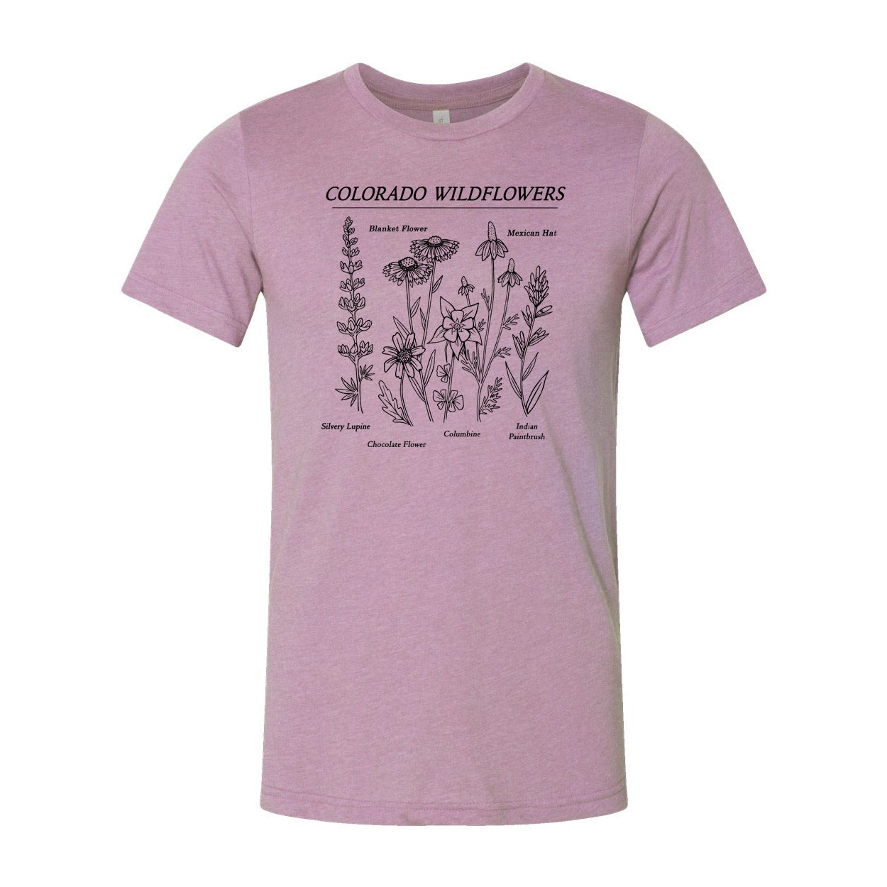 colorado-wildflowers-heather-orchid-mauve-purple.jpg