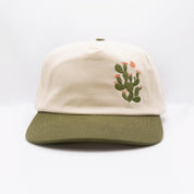 Under the Sun Cactus Hat