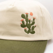 Under the Sun Cactus Hat
